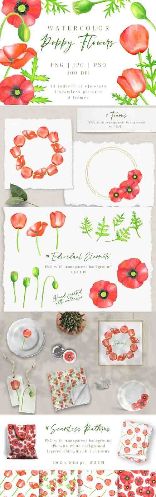 Red Poppy Flowers Clipart. Watercolor Floral PNG Collection - 1231936