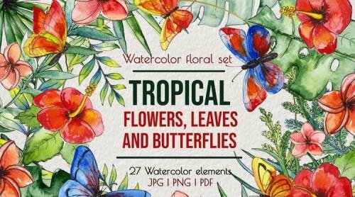 Tropical exotic leaves & flowers, butterflies clip art - 1014498