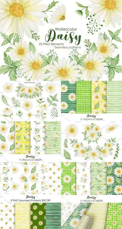 Watercolor Daisy. Seamless Patterns - 5970890