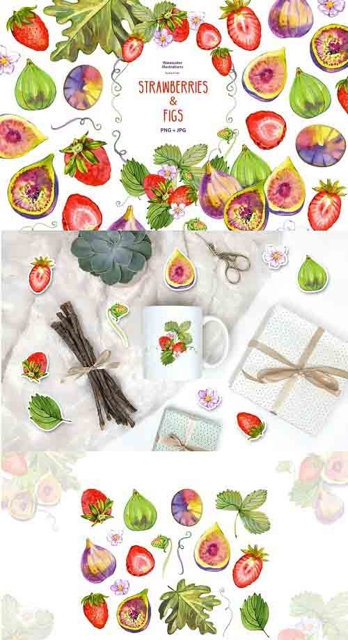 Watercolor strawberries and figs - 5974462