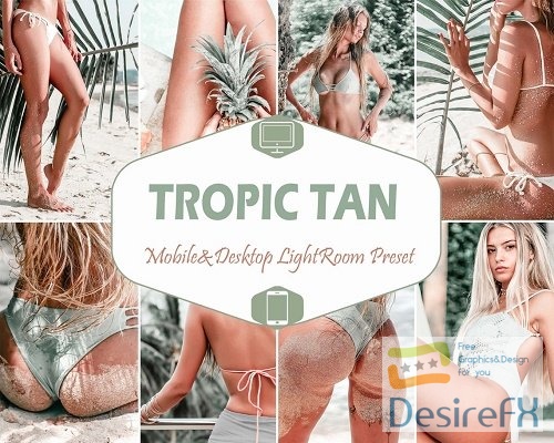 12 Tropic Tan Mobile &amp; Desktop Lightroom Presets