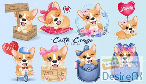Cute little corgi life with watercolor illustration set