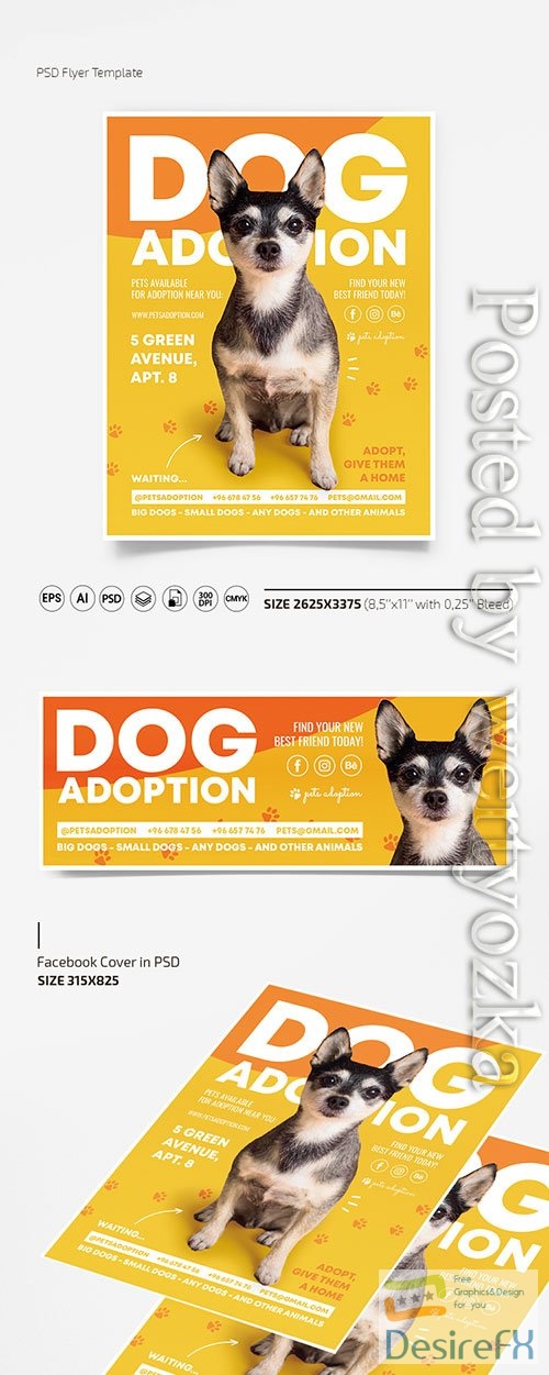 Dog adoption flyer template