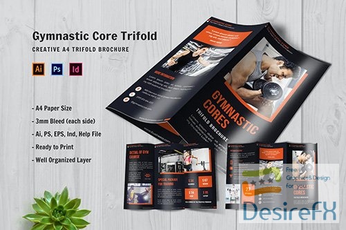 Gymnastic Core Trifold Brochure
