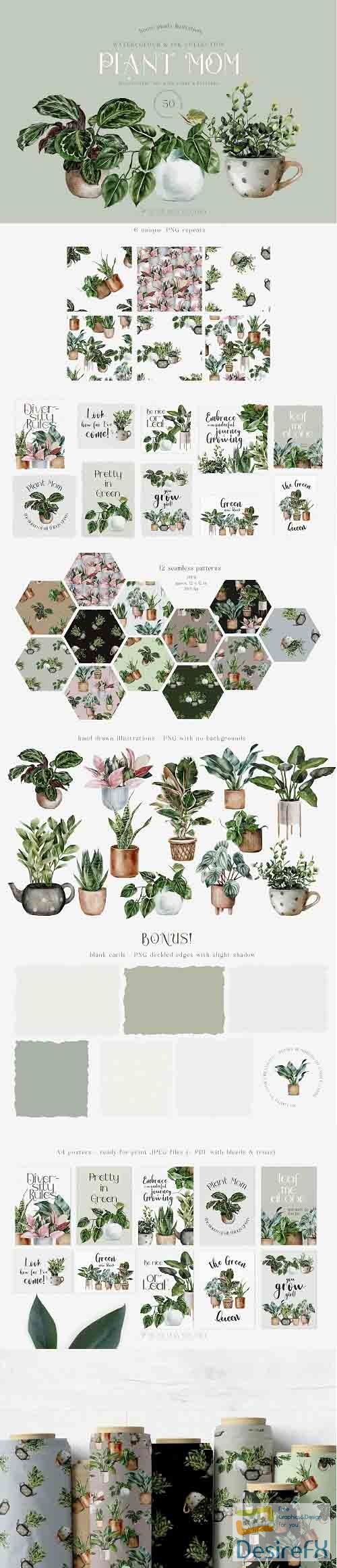 House Plants Illustrations and Patterns Big Collection - 1311192