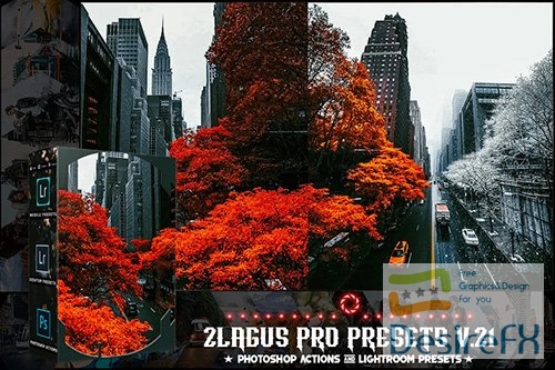 PRO Presets - V 21 - Photoshop &amp; Lightroom