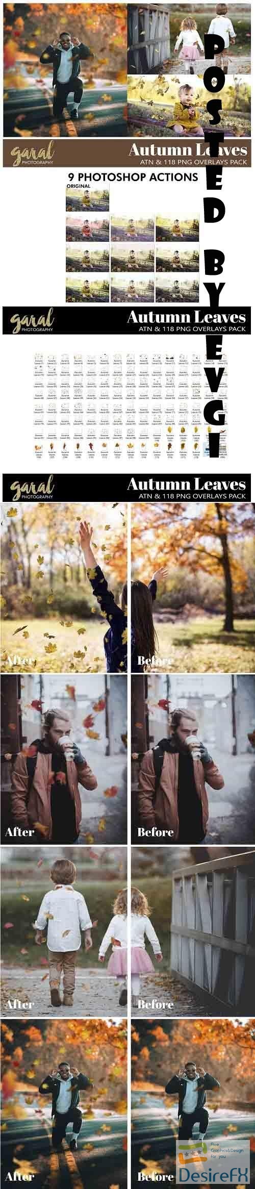 118 Falling Leaves Overlays And Ps Actions - 664526
