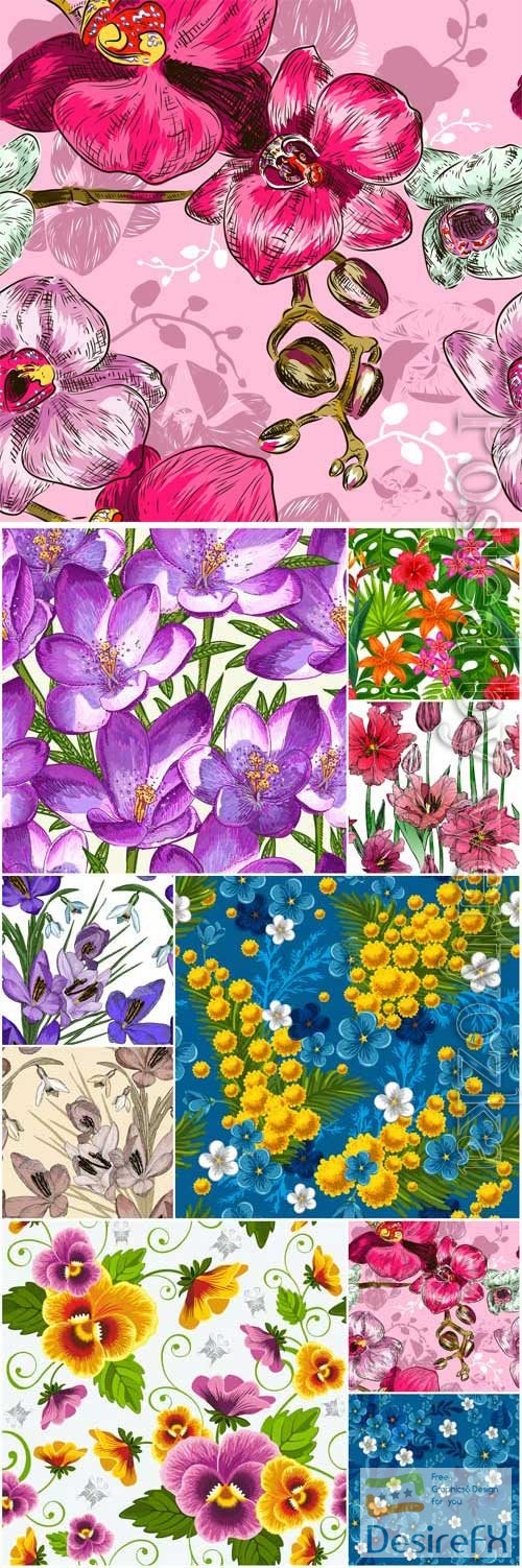 Backgrounds with orchids, poppies and other flowers in vector