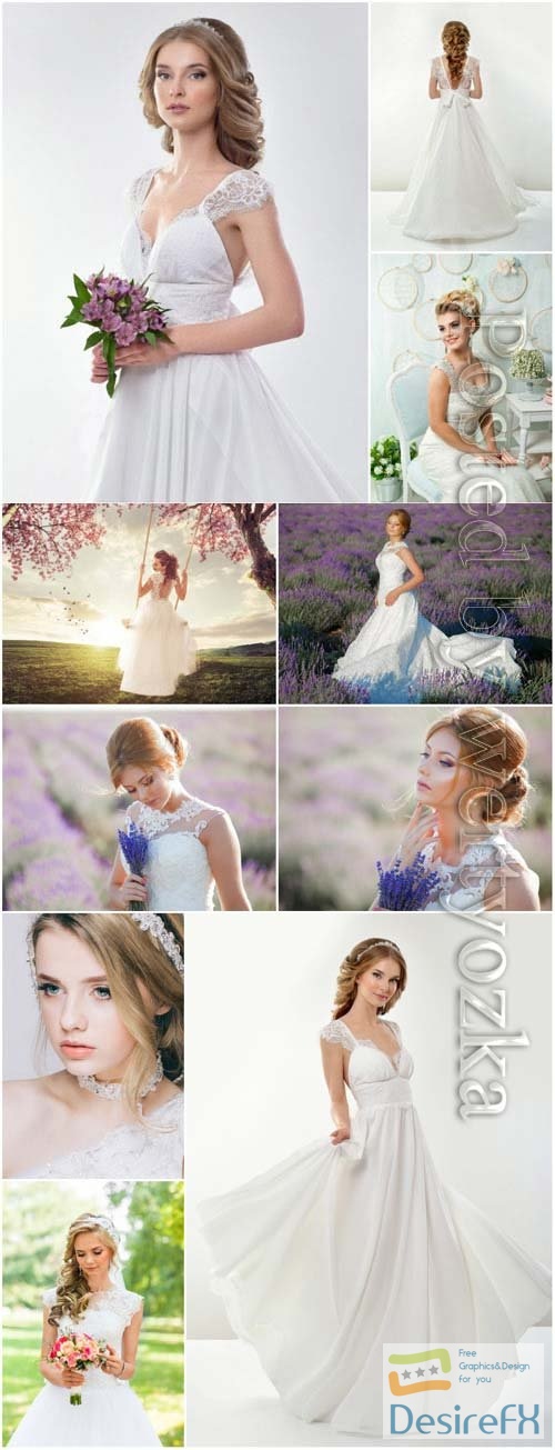 Brides among flowers and nature stock photo
