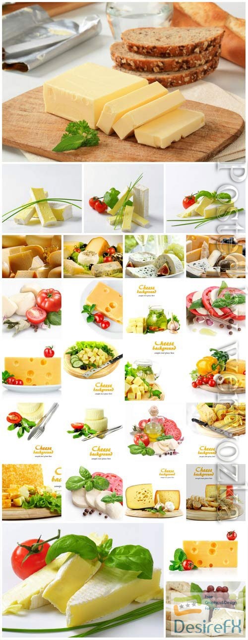 Cheese and vegetables stock photo