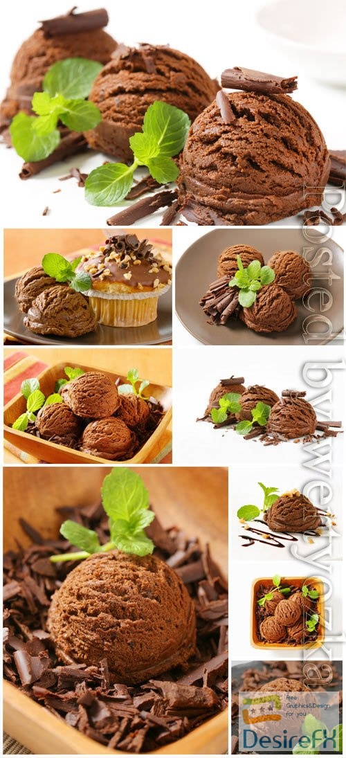 Chocolate ice cream with mint stock photo