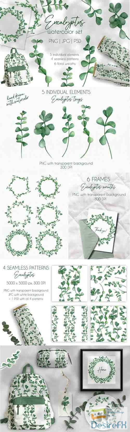 Eucalyptus Watercolor Clipart Collection. Floral Wreaths PNG - 1269033