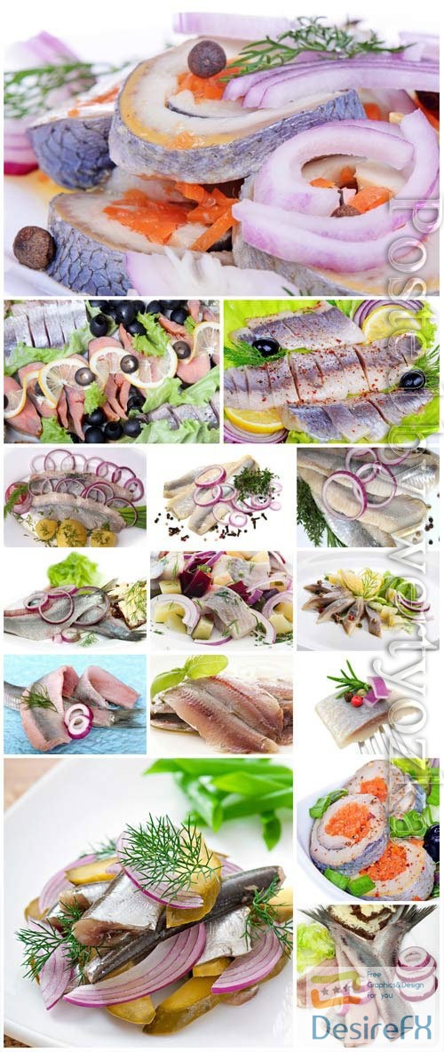 Herring with onions and olives stock photo