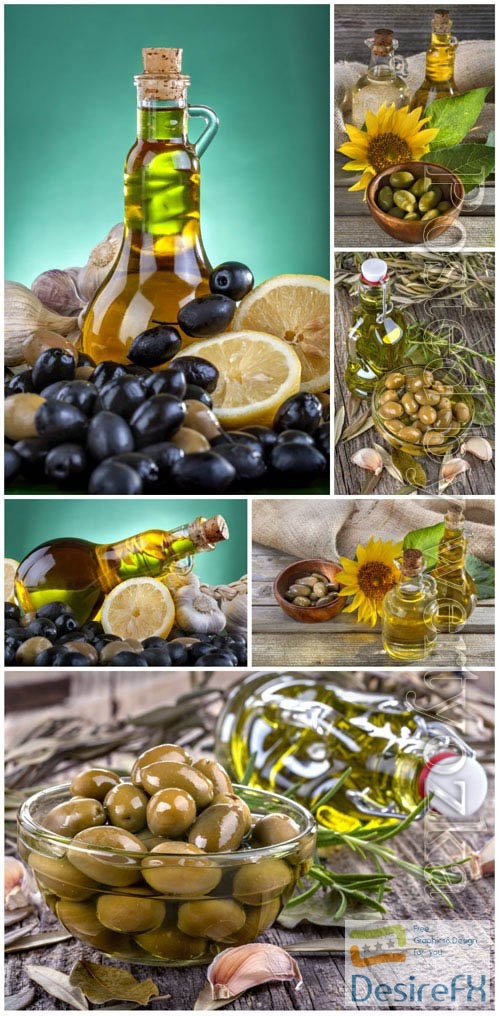 Olives stock photo