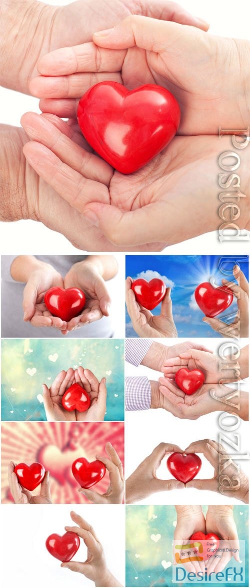 Red heart in hands stock photo