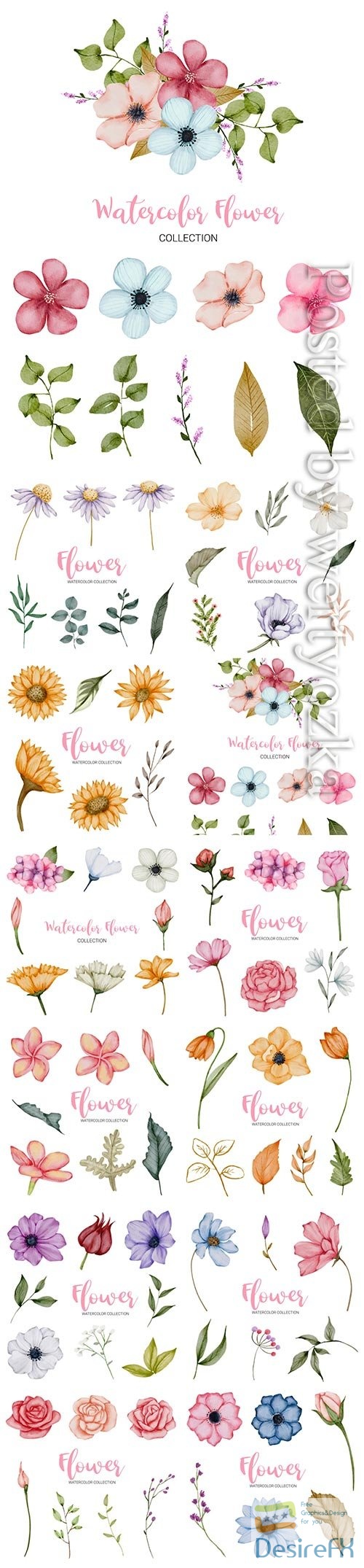 Set of beautiful vector flowers in watercolor style