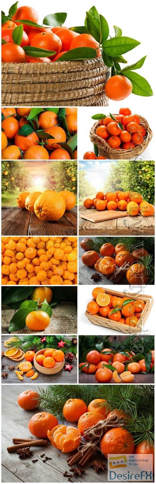 Tangerines and oranges stock photo