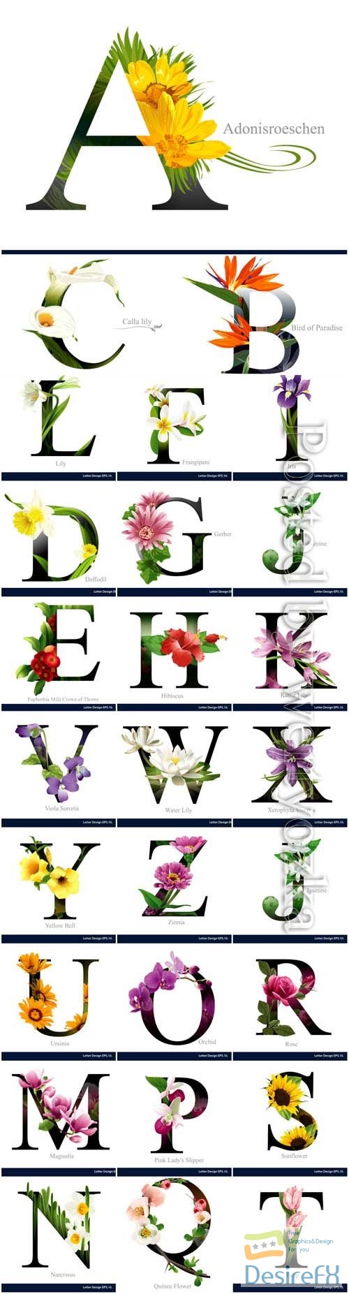 Alphabet with various flowers in vector