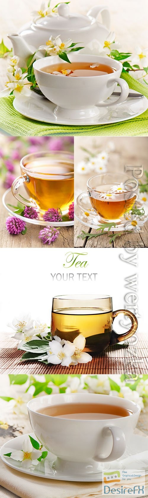 Fruit berry tea stock photo