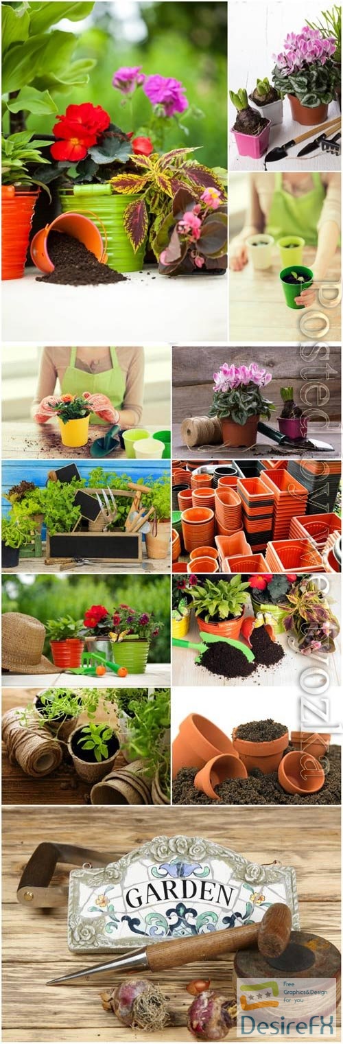 Gardening, flower pots stock photo