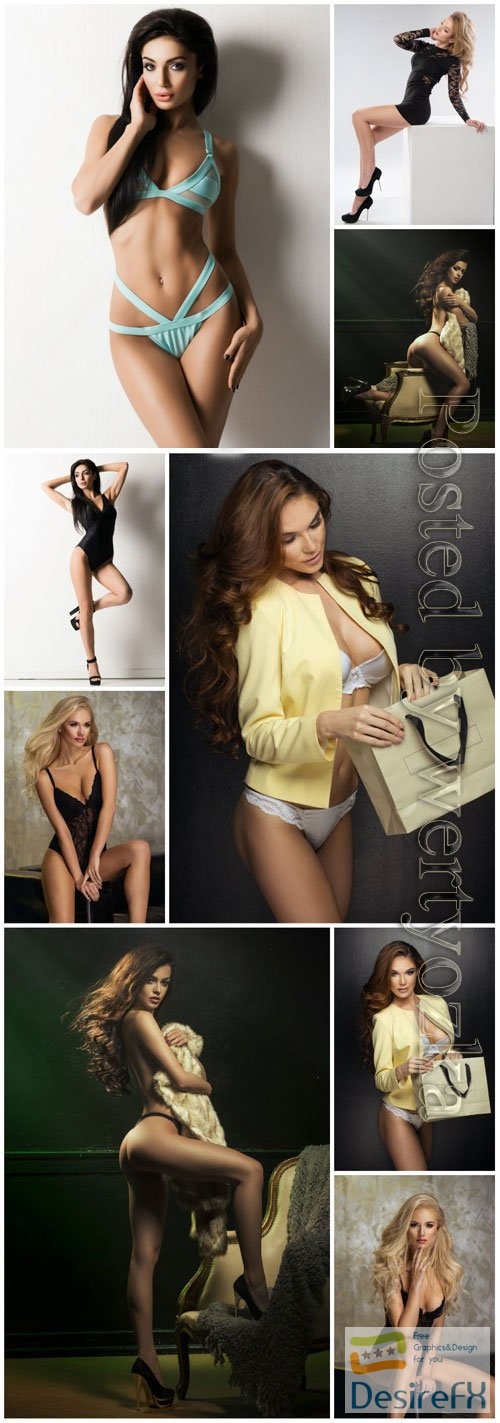 Luxury women in lingerie posing stock photo vol 15