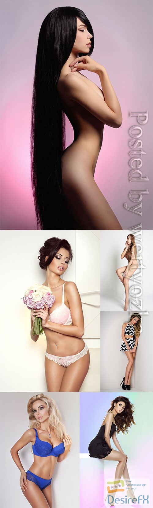 Luxury women in lingerie posing stock photo vol 29