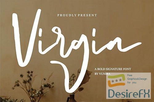 Virgia | A Bold Signature Font