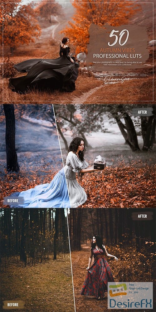 50 Autumn Vibes LUTs and Presets Pack