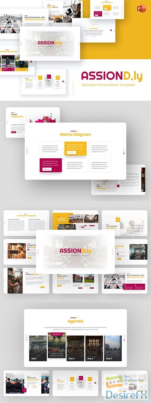 Assiond.ly Education PowerPoint Template