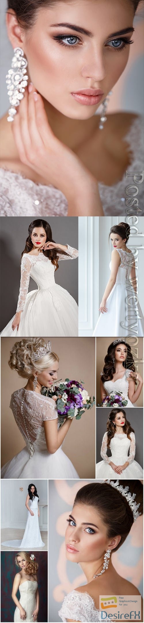 Brides in luxurious dresses stock photo