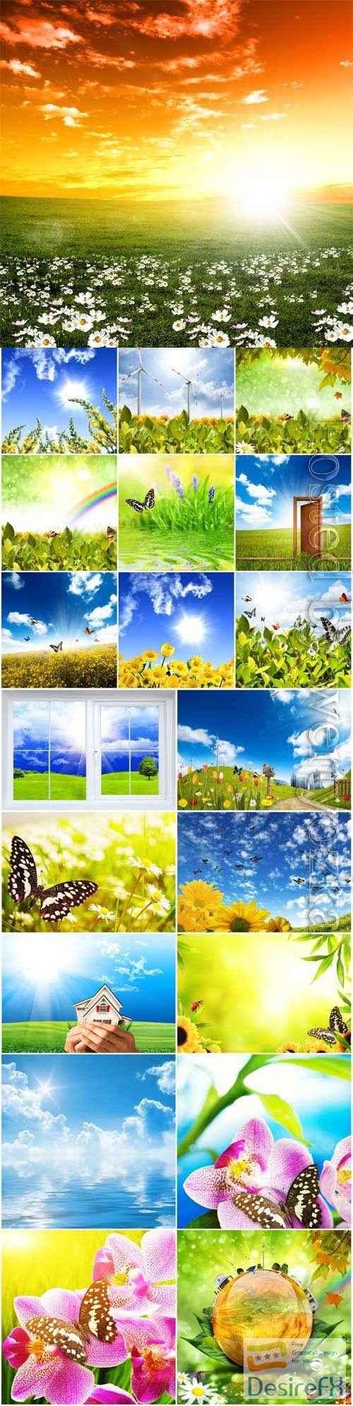 Floral summer backgrounds stock photo
