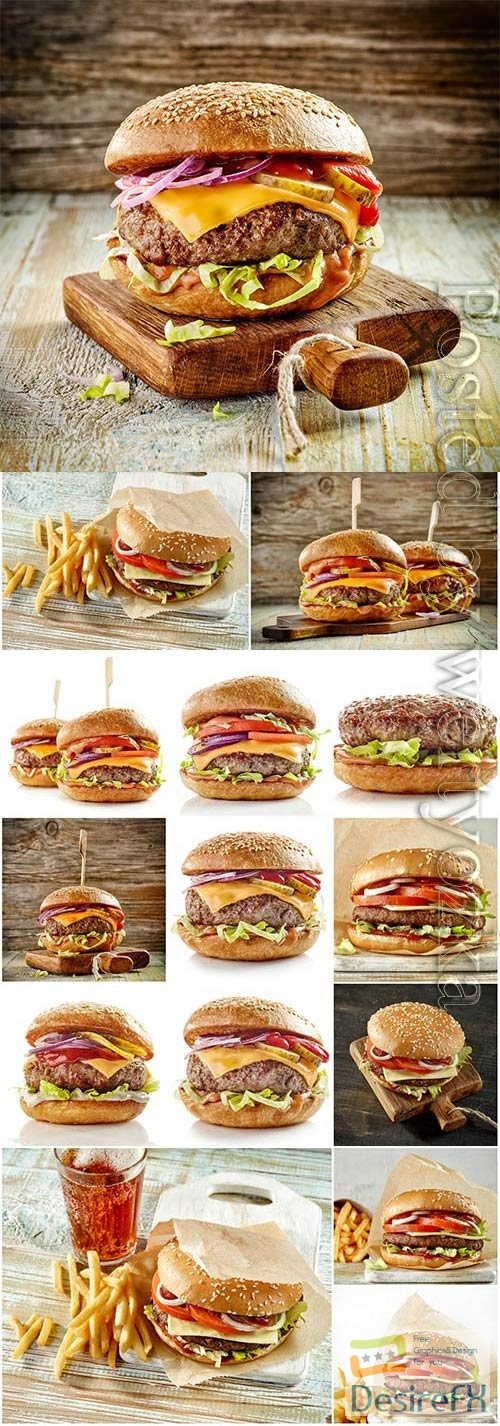 French fries and hamburgers stock photo