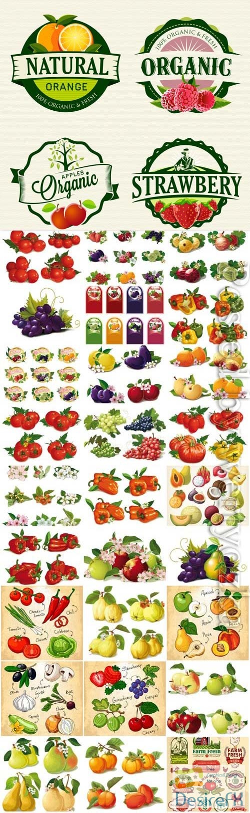 Fresh vegetables and fruits in vector