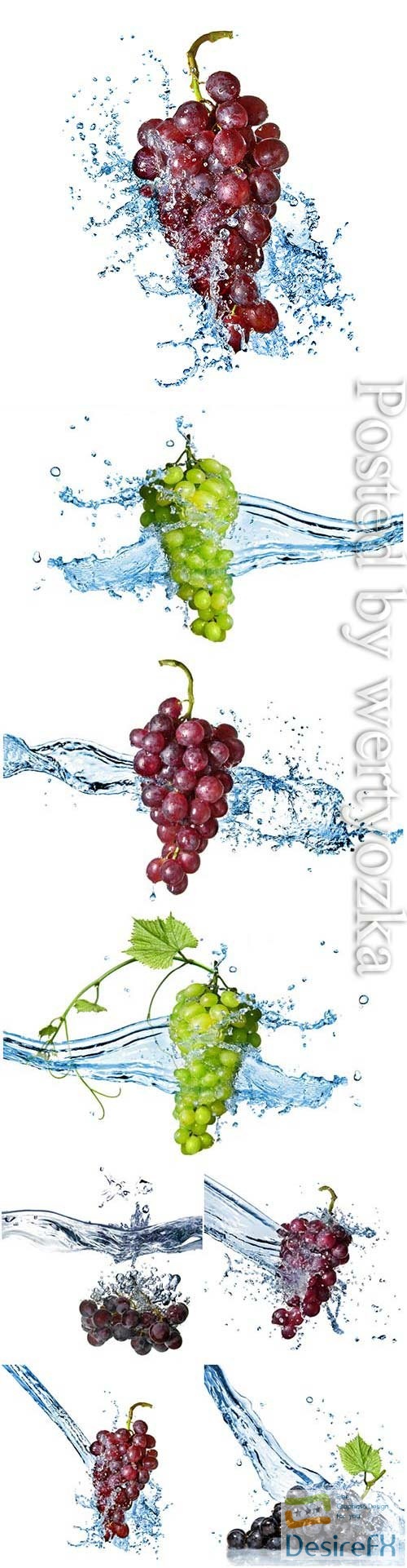 Grapes splashing water stock photo