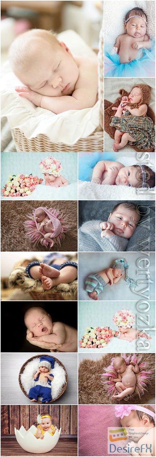 Newborn babies photo session stock photo