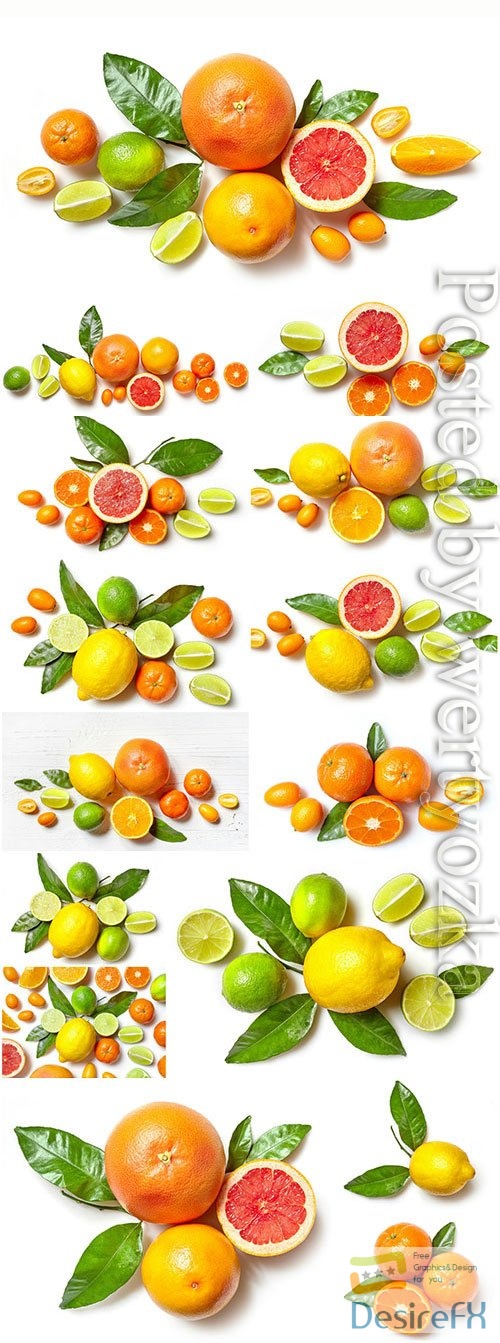 Oranges tangerines and lemons stock photo