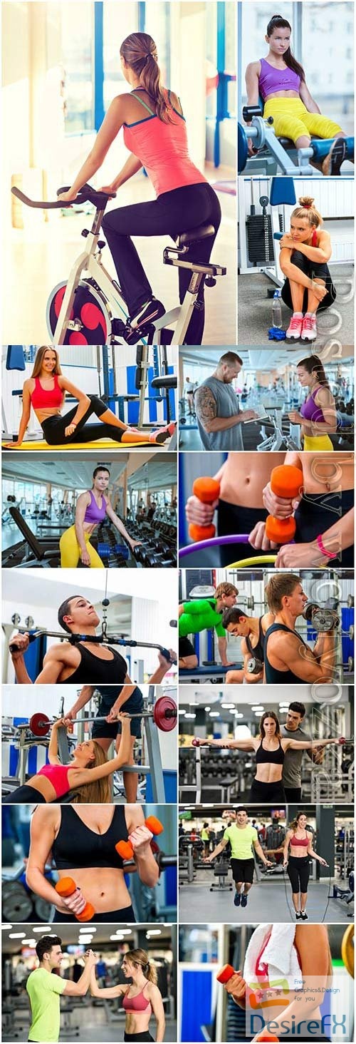People exercising in the gym stock photo