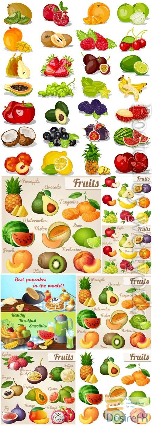Set of tropical fruits and various berries in vector