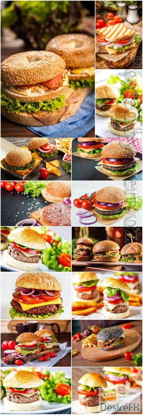 Appetizing burgers stock photo