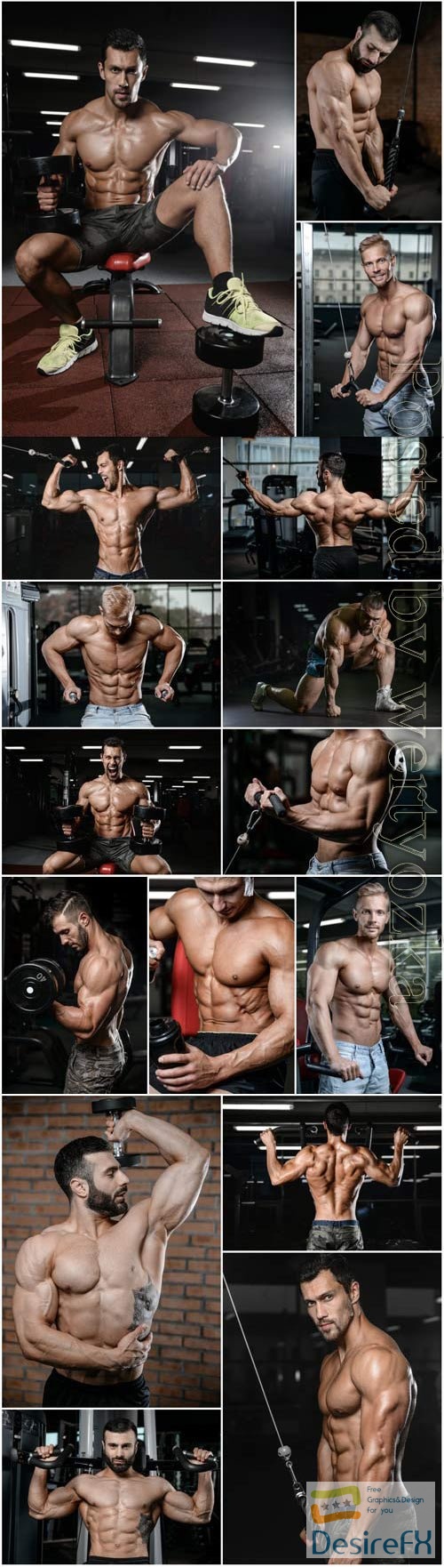 Athletic men in gym stock photo