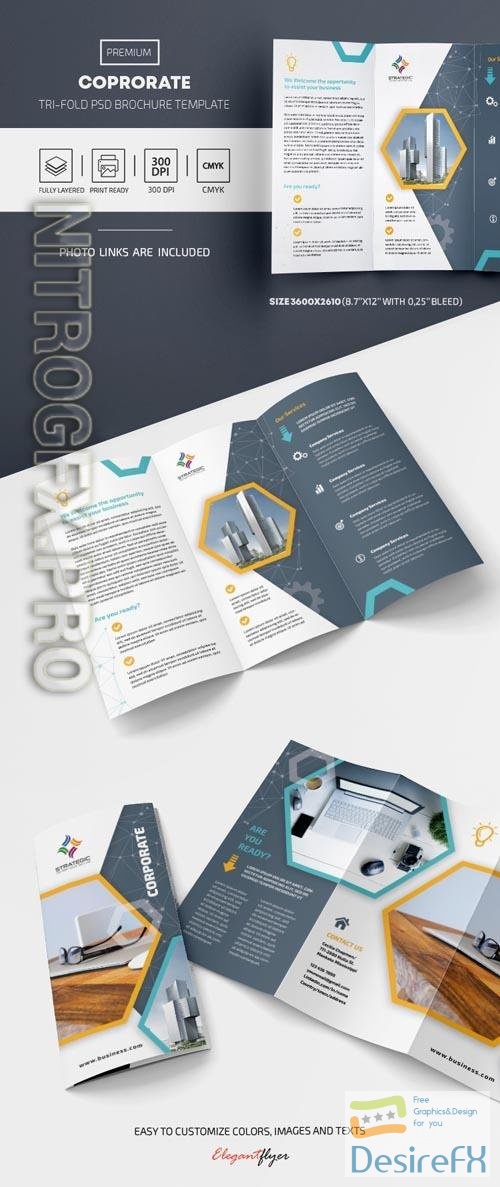 Corporate Tri Fold Brochure PSD Template