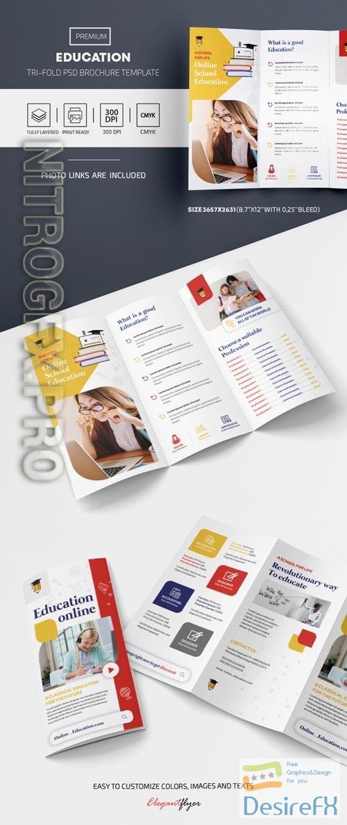 Education Tri Fold Brochure Template