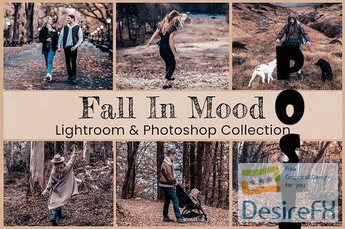 Fall In Mood Lightroom PS Presets - 6360419