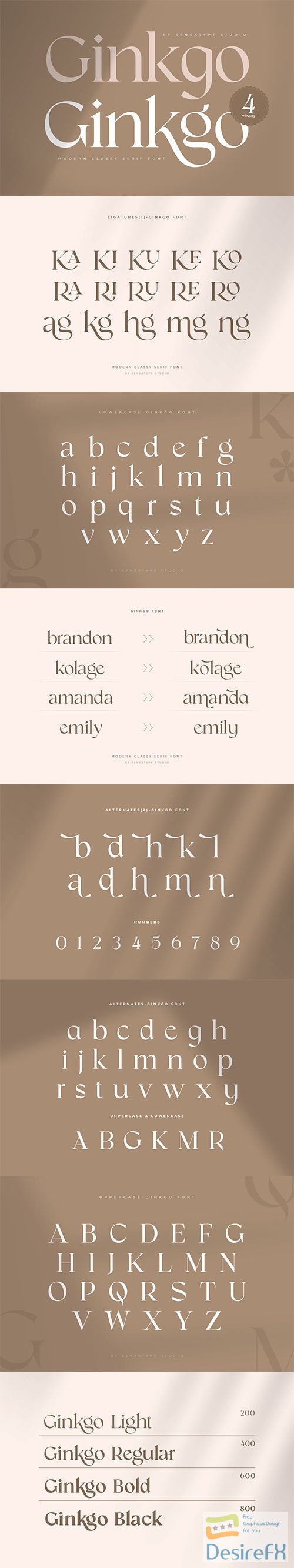 Ginkgo - Modern Classy Serif Font