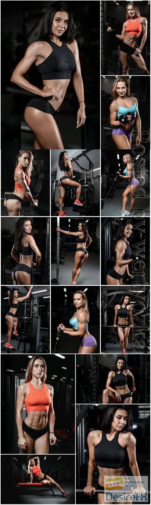 Sports girls with a beautiful figure in a gym stock photo