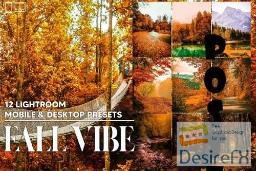 12 Fall Vibe Lightroom Presets, Landscape Mobile Preset, Multi-color moody &amp; bright Desktop LR Filter
