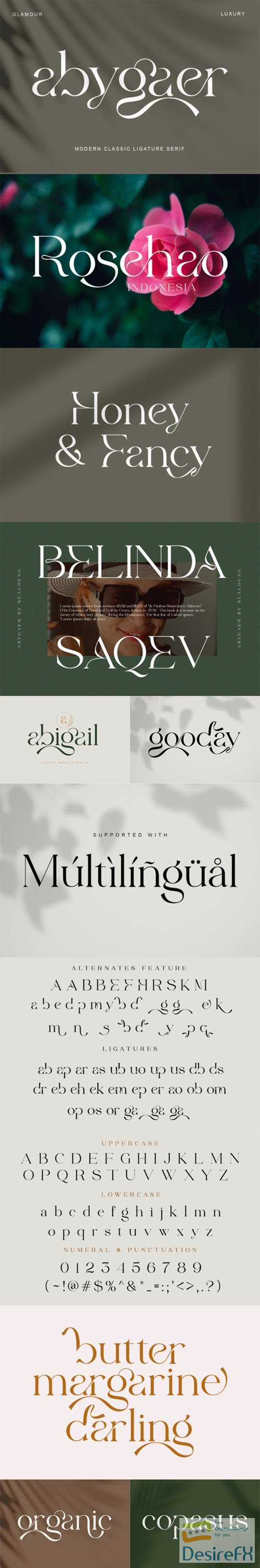 Abygaer Modern Classic Ligature Serif Font