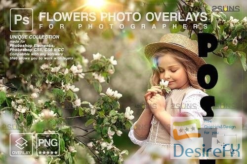 Flower overlay , Photoshop overlay, Flower overlays - 1447820
