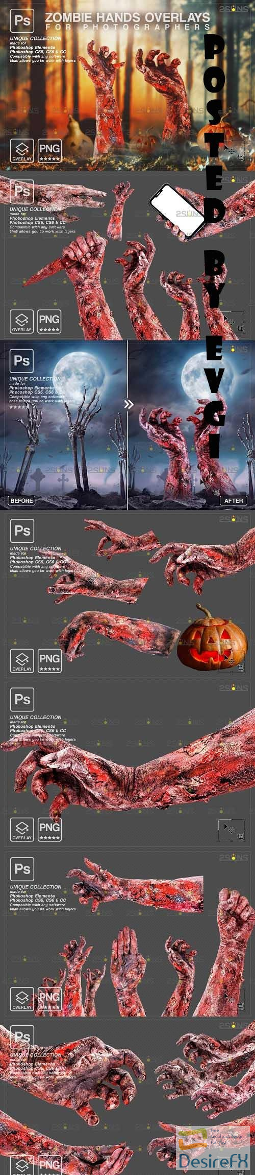 Halloween photo overlay &amp; Halloween clipart: Zombie hands - 1584013