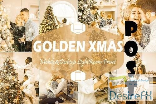 10 Golden Xmas Lightroom Presets- 1630249